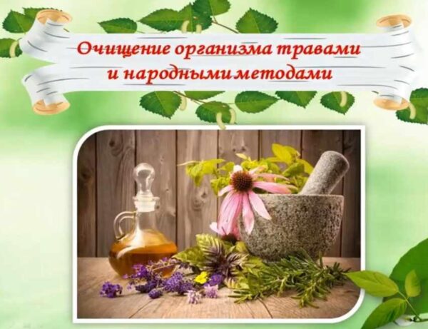 Очищение организма травами и народными методами (Ольга Спиридонова)