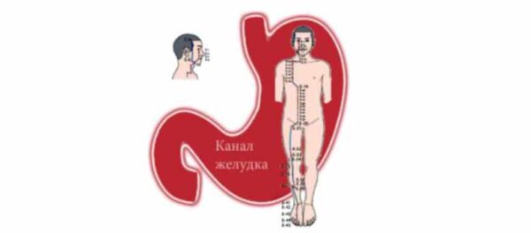 [Vedapuls] Канал Желудка, диагностика и методы воздействия (Сергей Косинцев)